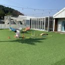 삐삐키즈풀빌라&글램핑풀카라반 이미지