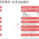 에스엘프라자(핑크타이거) | 일본 후쿠오카 여행 (사실 먹은것들 모음 zip) 내돈내산