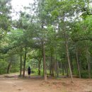 탑동천 Daum카페