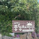 풍경채민박 | 울릉도 숙소 :: 저동항 울릉도풍경채펜션 , 깔끔 오션뷰 최고 🏠🤍