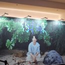 [호시노겐 내한 약속 콘서트] 자주 온다고 했잖아요 제가