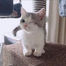 나노시티 삼성어린이집 이미지