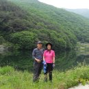 보현산 약초마을 이미지