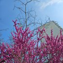 설월리약수터 이미지