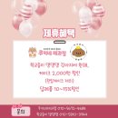 댕댕댕 애견유치원 이미지