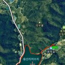 쑥부쟁이(용산저수지)둘레길 이미지