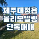 안성리-8 이미지