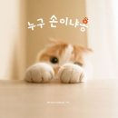 마성작은도서관 네이버블로그