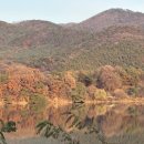 우금 | 포천 우금저수지 가산낚시터 솔직 리뷰｜조용해서 더 좋았던 힐링 산책코스