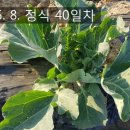 솔골농장 이미지