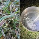 오늘자 주요 기상 관측지점 일 최저기온, 최저기온 지역은 강원 양구 영하 3.7도 이미지