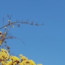 광교 푸른숲도서관 이미지