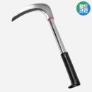 크린월드 이미지