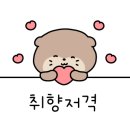 에이씨씨(ACC)