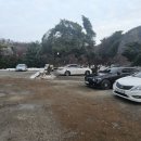 반월호수온도 | 카페 반월호수 온도 후기