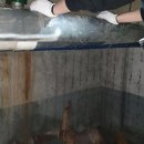 안양-안양-안양-514 이미지