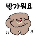 멍지펫살롱 이미지