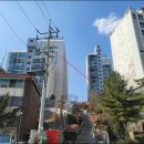 신사동-3 이미지