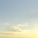 스타트레블 이미지