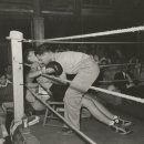 새로운 예술의 질주 이미지