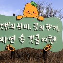 갯골생태공원(인포센터) 이미지