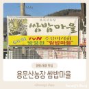 용문산농장쌈밥마을 | [양평/맛집] 용문사 근처 쌈 무한리필 맛집 ‘용문산농장 쌈밥마을’