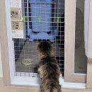 페츠업 동물병원 이미지