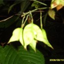 홍천통나무 펜션 이미지