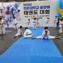 용인대 박사 태권도장 이미지