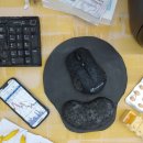 박지일 카카오 검색결과