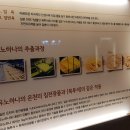 유노하나암반욕 이미지