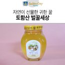 토함산 벌꿀세상 이미지