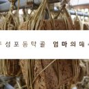 구성포동막골 이미지