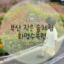 작은숲 | 부산 아기랑 갈만한곳 무료 공원 화명수목원 숲체험 작은농장 추석 방문 후기