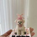 펫티시에 이미지