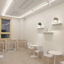 하이멍 애견미용 이미지