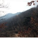 월산1리 이미지