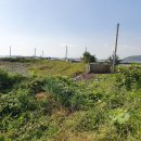 호동바닷가가든 이미지