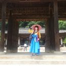 백암전통차 이미지
