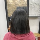쑥쌀롱