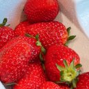 세교에스한의원 이미지