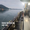 2026년5월25일(무시) 까치선장 자이언트호 개우럭,농어 대박(12분) 조황 이미지
