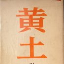 생명의줄기 이미지