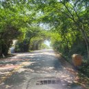 오방마을회관 이미지