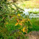 동의보감민박 이미지