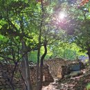 장산 마고당+천제당 | 드뎌~~부근도당산(장산)마고당&amp;천제당으로 신령님합수길 열어본다🙏