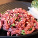 참치라이더 이미지