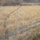 청천부동산중개사무소 이미지