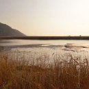 육지와바다 이미지