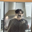 도그파파안 이미지